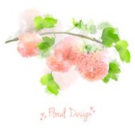 Vector Watercolor Flowers Hydrangea N2