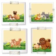 DOGS N38