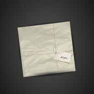 Wrapped gift package