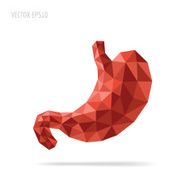 Stomach faceted
