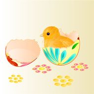 Easter chicken hatched from eggs vector