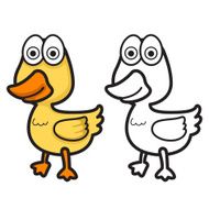 colorful and black white duck for coloring book