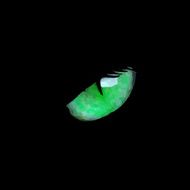head of black cat with glowing green eyes N2