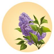 Lilac N6