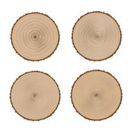 The transverse structure of the tree trunk Stock Vector Illustration