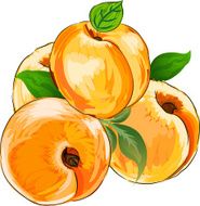 Apricot N5