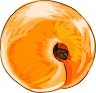 Apricot N22