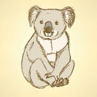Sketch cute koala in vintage style