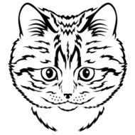 Cute kitten muzzle