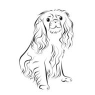 Spaniel Ink Line Art N2