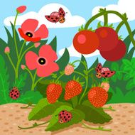 Colors for kids red (field with flowers strawberries toma