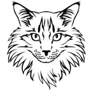 Contour cat portrait N2