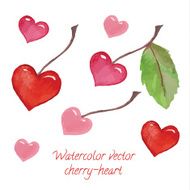 tasty heart-shaped cherries on branches