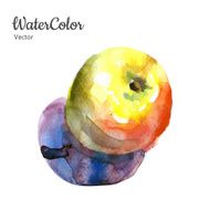 Vector hand painting abstract watercolor apple illustration