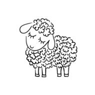 Sheep sketch on white background