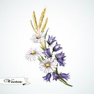Watercolor vector bouquet with wild flowers