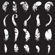 Feather white silhouette set