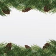 christmas background with tree Vector frame green fir