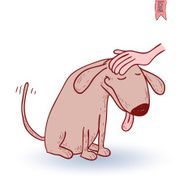 cartoon dog Vector illustration N16