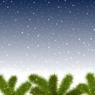 Christmas snowy background with fir branches