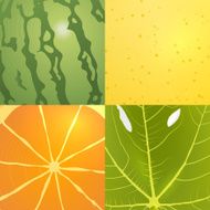 collection of vector fruits textures