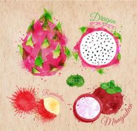 Exotic fruit watercolor dragon fruit rambutan mangosteen in kraft
