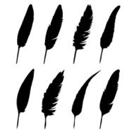 Vector group of feather