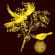 Sprig of Mimosa and Yellow Bird Spring Background N2