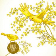 Sprig of Mimosa and Yellow Bird Spring Background N4