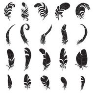 Feather black silhouette vector set