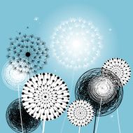 beautiful dandelions N2