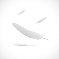 Floating Feathers