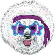 vector funny cartoon hipster dog Bichon Star Disco N2