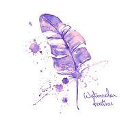 Isolated watercolor feather N2