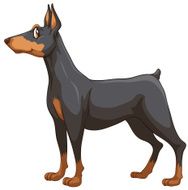 Dog N64
