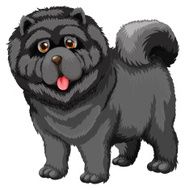 Dog N65