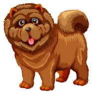 Dog N66