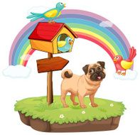 Dog and rainbow N2