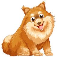 Dog N70