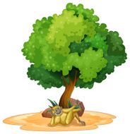 Gibbon and tree