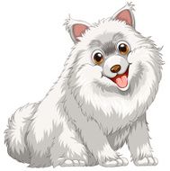 Dog N81