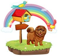 Dog and rainbow N3