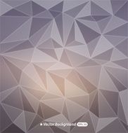 Abstract colorful polygonal background N22