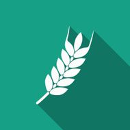 Wheat Icon N15