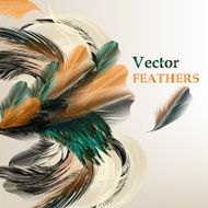 Background with vector realistic bird feathers N2