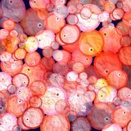 abstract texture berries