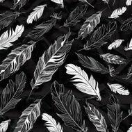 graphic texture of feathers