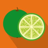 fruits design N62