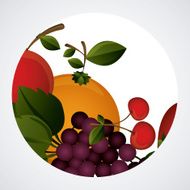 fruits design N84