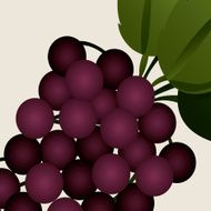 fruits design N88